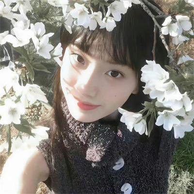 借刀杀人计中计